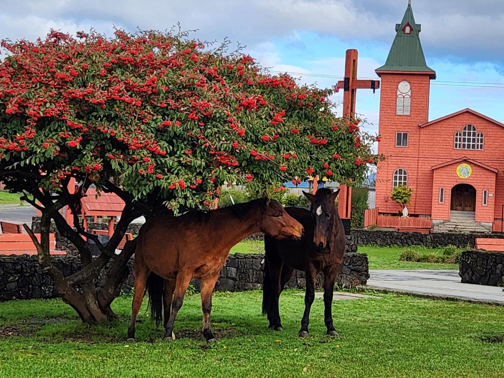 Cabanas Parque Chaqueihua Hornopiren Luaran gambar